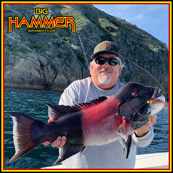  Big Hammer Lures - Don't Get Bit Get Hammer'd!